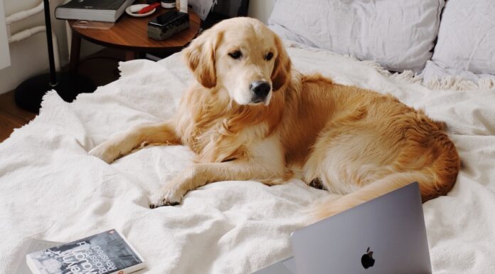 30 pomysłów na spędzenie dnia w domu